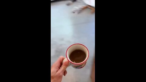 Alexa…milk 🥛😂😂😂