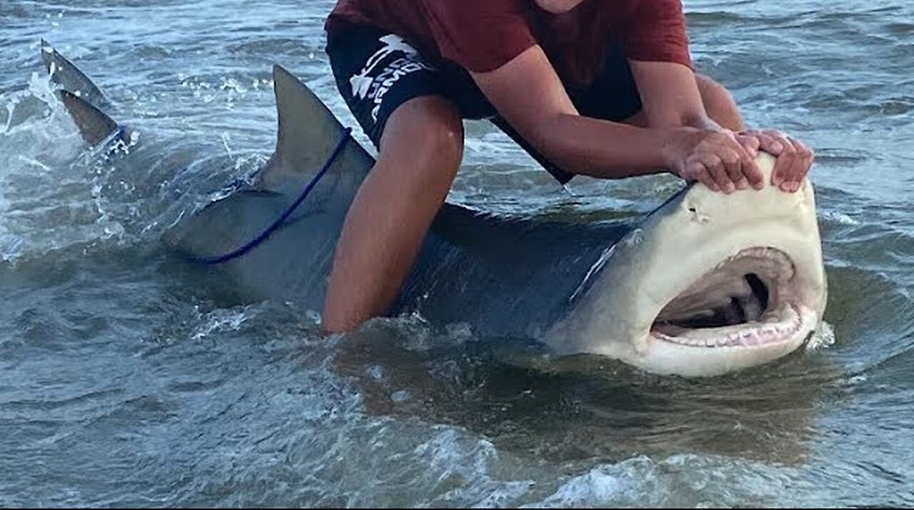 Late Summer Land Based Shark Fishing.