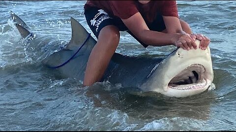 Late Summer Land Based Shark Fishing.