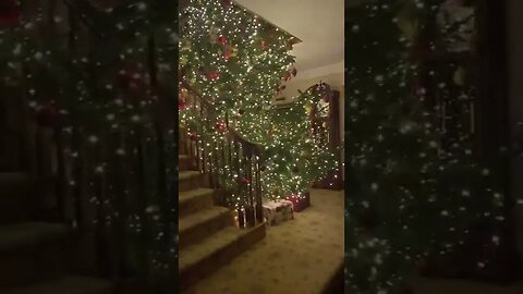 The Most Wonderful Time Of The Year tiktok rebeccac239