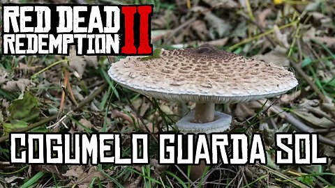Localização do Cogumelo Guarda Sol Red Dead Online