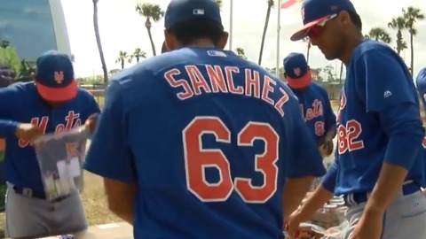 Minor League Mets helping young fans