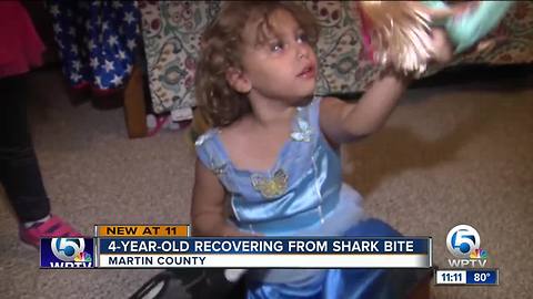 Violet Jalil: 4-year-old bitten by shark at Bathtub Beach recovering at home