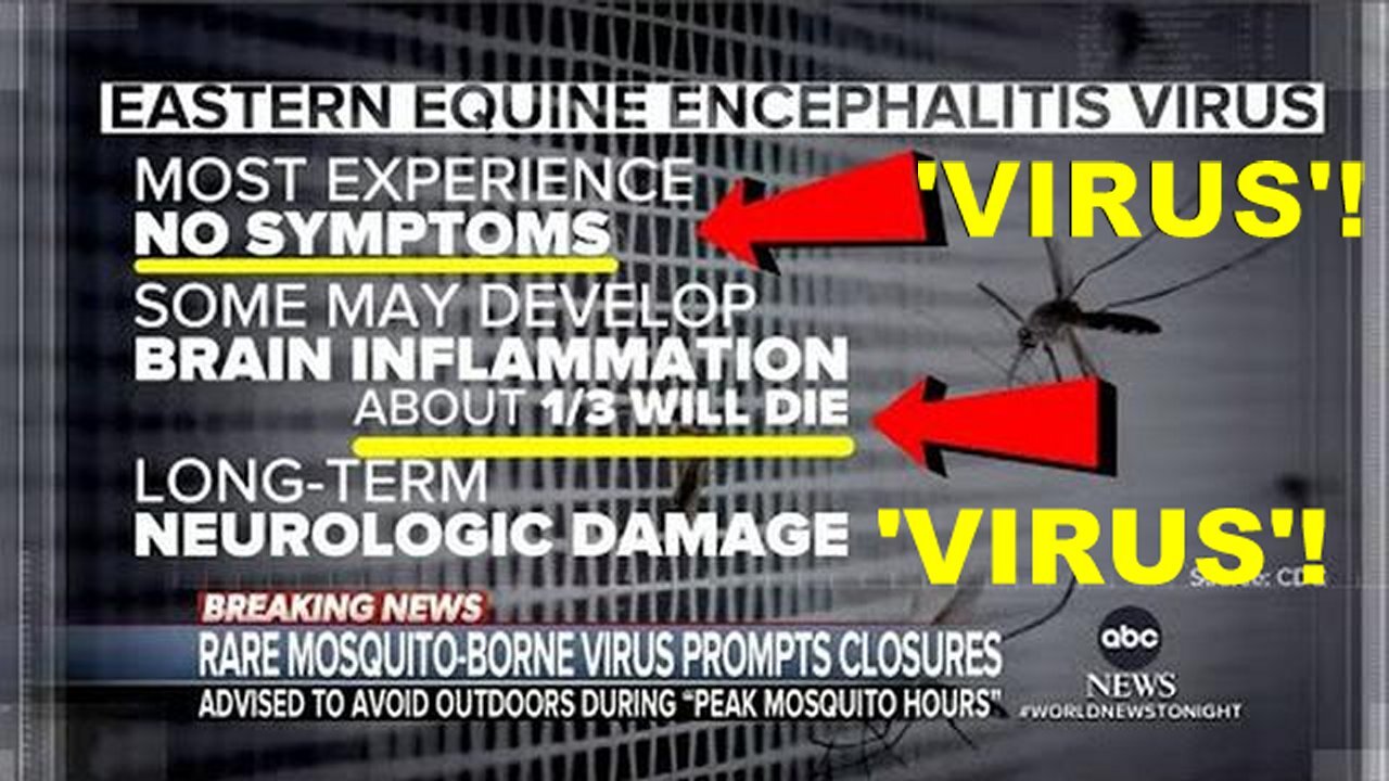 Call: WARNING! The NON Existing Deadly Mosquito 'Virus' With No Symptoms & 33% Death Rate!