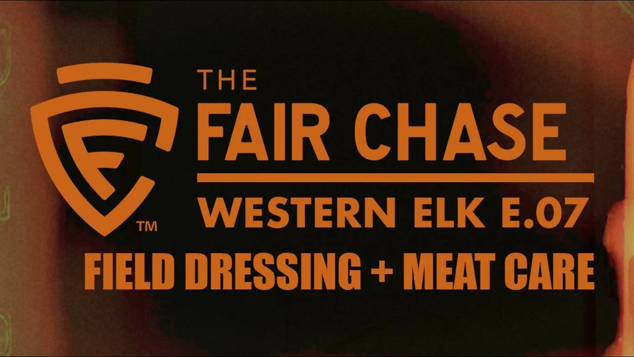 Western Elk Part 7: Field Dressing and Meat Care