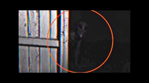 #5 Alien Caught on Camera Real Life