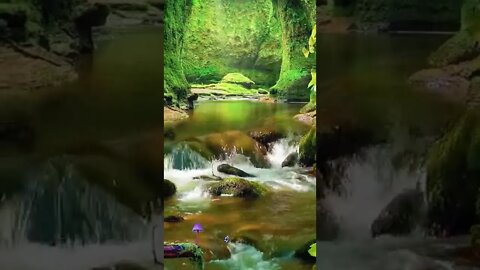 Relaxation