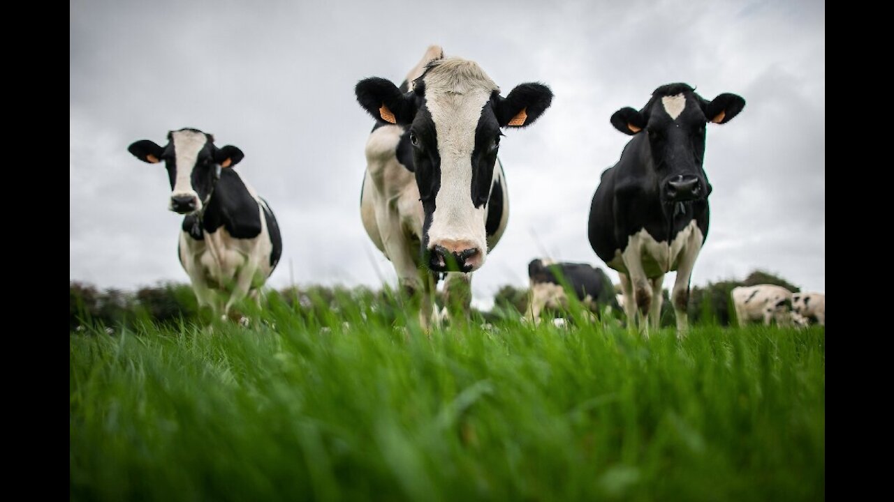 4-6-21 15 Minutes Ov Flame -- The Ticking Mind Bomb