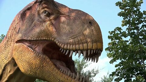 I Will Survive with A Dog Dinosaur and Strawberries 4K 76760009