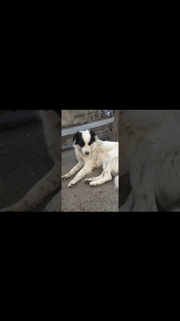 The car park where she used to live 💗