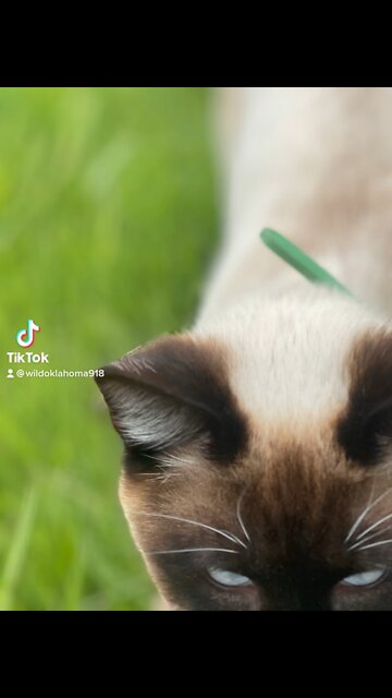 Spring time is awesome