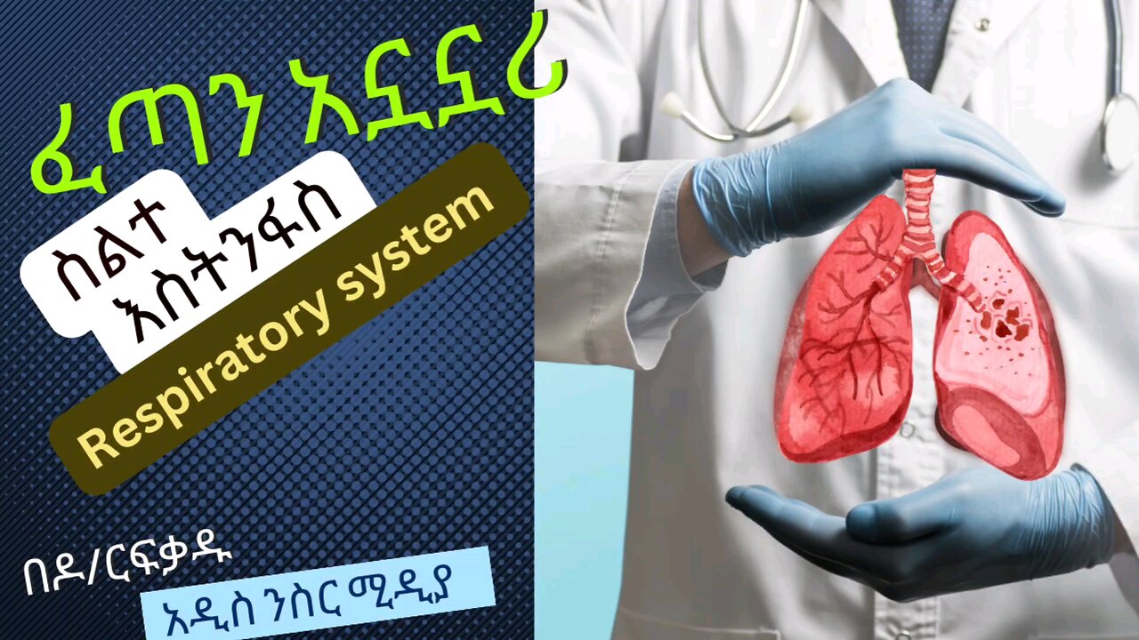 ፈጣን አኗኗሪ(ስልተ እስትንፋስ/respiratory system)