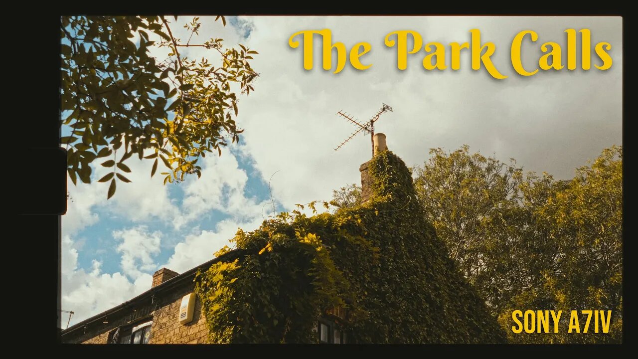 The Park Calls | Sony A7IV | Davinci Resolve + Dehancer Pro