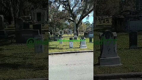#taphophile