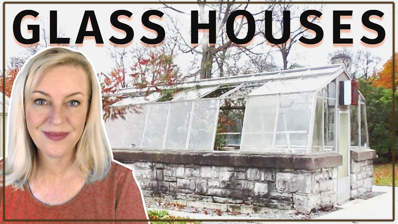 Lazarus Diary 2 - Glass Houses - Nov 10, 2021