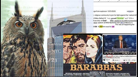 2/22 Nashville. AT&T. Athena. Owls. Christmas. Christian School. Sacrifice. Flaco Owl NYC. Trump