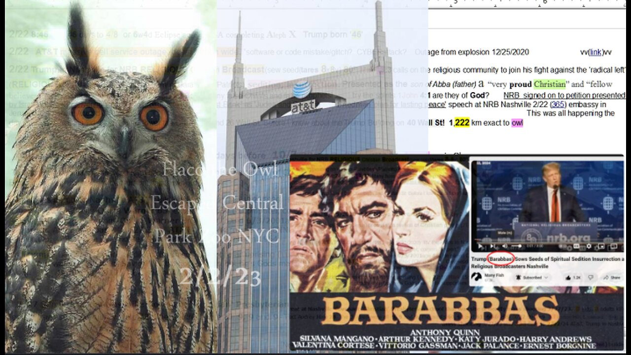 2/22 Nashville. AT&T. Athena. Owls. Christmas. Christian School. Sacrifice. Flaco Owl NYC. Trump