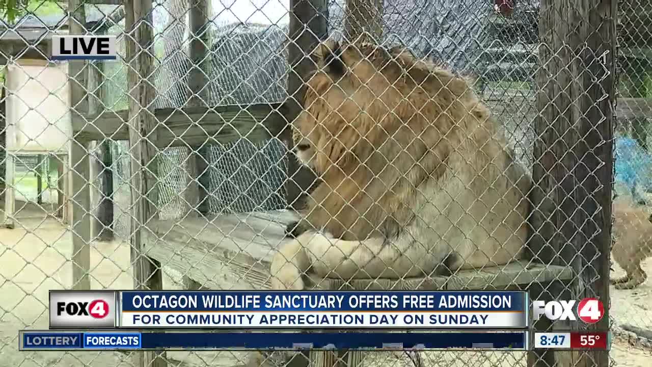 Octagon Wildlife Sanctuary holds community appreciation day on Sunday