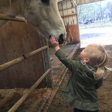 Toddler has a very serious conversation with a horse