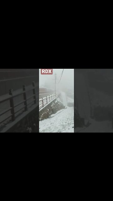 Hello Shimla #shorts