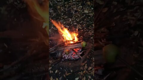 #shorts #theflame #campfire die Kids beschäftigen #bratapfel #kids #lagerfeuer