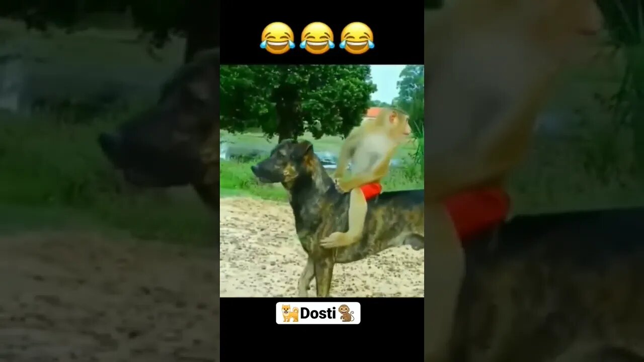 Omg 😳🤣 #shorts