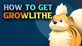 How To Get Growlithe Pokemon Scarlet And Violet Location Guide