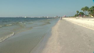 Red tide lingering in south Pinellas County