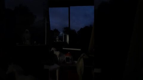 Cool lightning show.