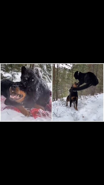 🔴real friends🐕🐯