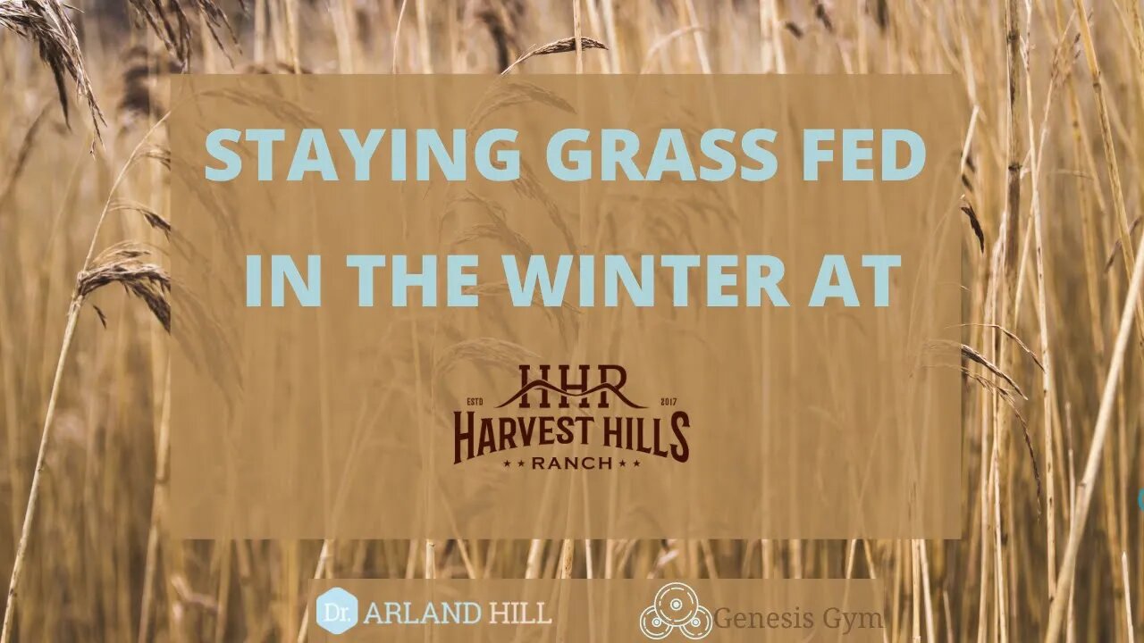 Staying Grass Fed in the Winter at Harvest Hills Ranch