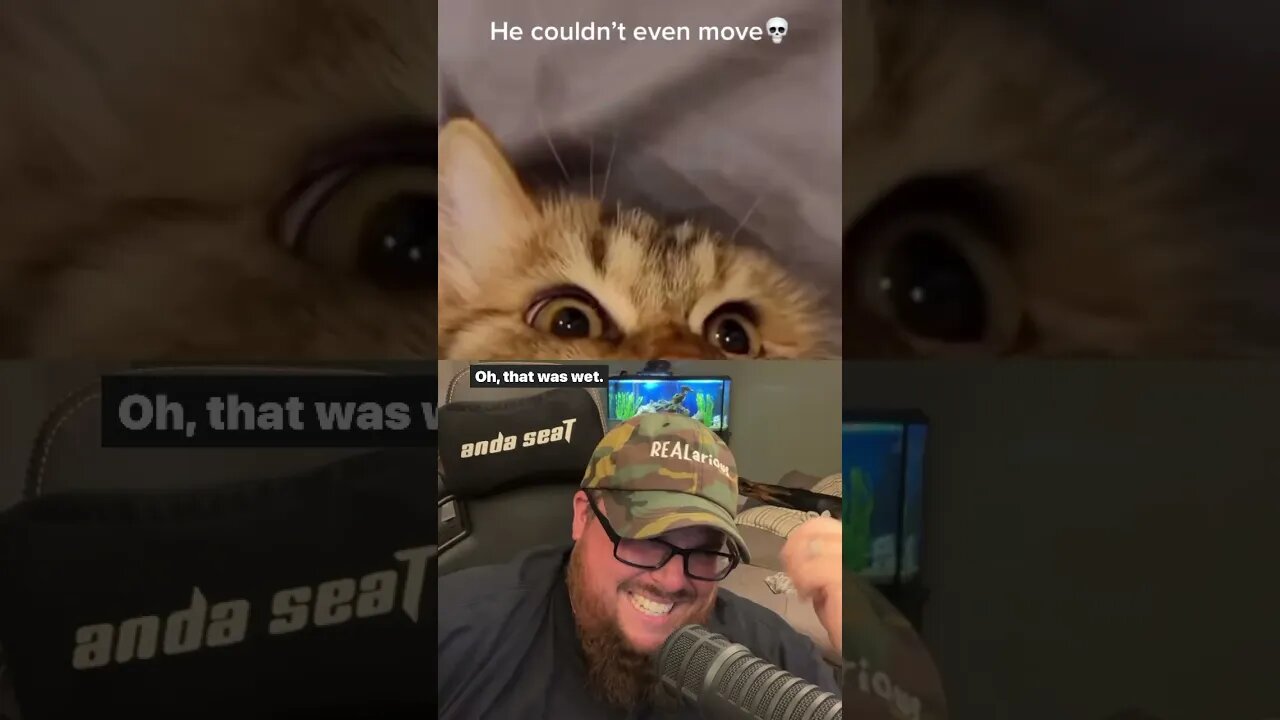 Here’s Your Dose of REALarious…🤣🤣🤣 #duet #funnycomedy #funny #makeyoulaugh #comedymovies #cats