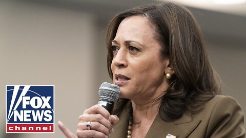 VP Harris loses another high-profile staffer amid mass exodus