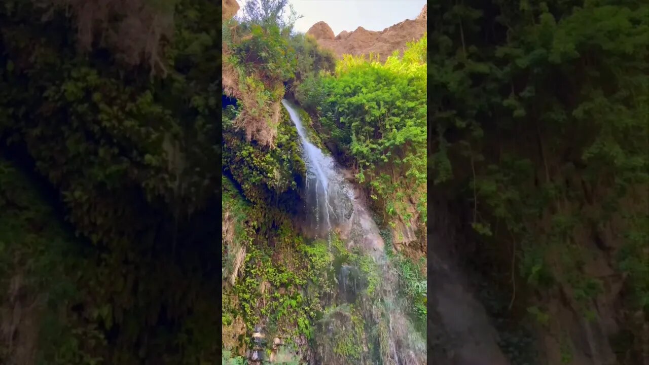 King David’s Waterfall | Pamela Storch | Harpscape Lullaby