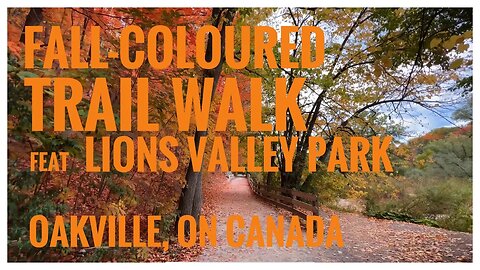 Fall-coloured Trail Walk | Polka | Lions Valley Park | Oakville, ON 🇨🇦 | 4K