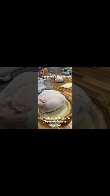 Chicken for dinner #hedgehogshomestead #dinner