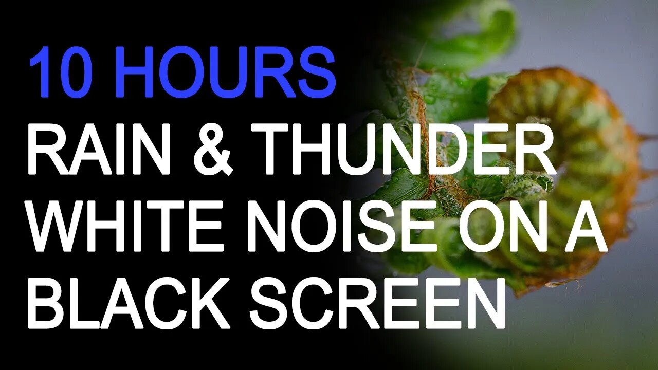 10 Hours Rain & Thunder Rainstorm Sounds for Sleep, Studying or Relaxation Nature White Noise