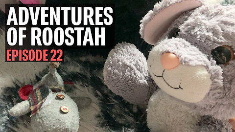 The Adventures of Roostah (episode 22) : Roostah Goes to Work at the Feet Factory (part 2)