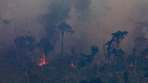 G-7 Leaders Promise To Send $22 Million In Aid To The Amazon