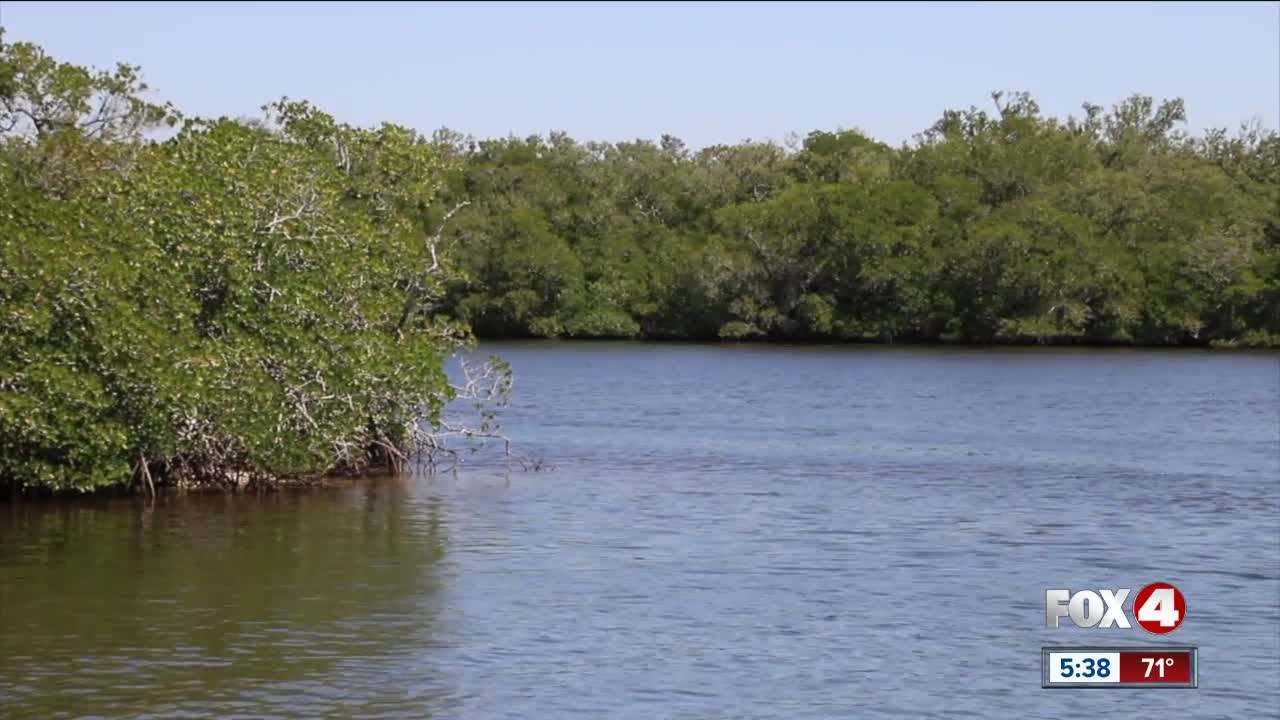 FGCU focusing on water quality through new program