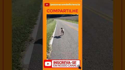 Vamos ver se o youtube vai mostrar este vídeo sobre Pessoa com deficiência