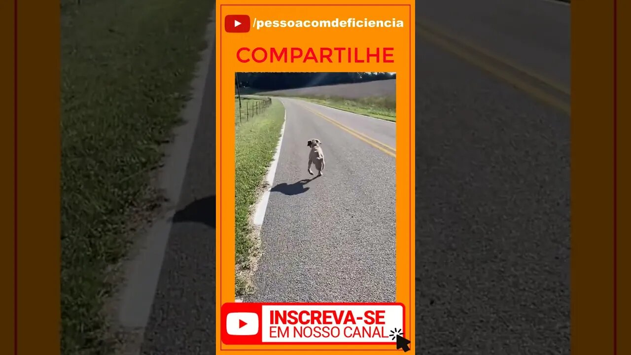 Vamos ver se o youtube vai mostrar este vídeo sobre Pessoa com deficiência