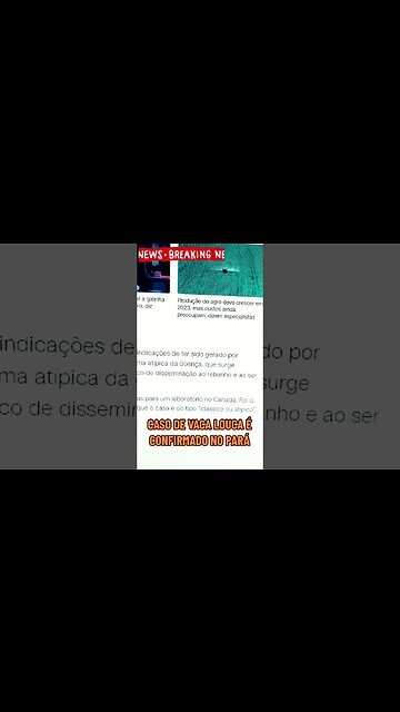 URGENTE! GOVERNO DO PARÁ CONFIRMA CASO DE VACA LOUCA NO ESTADO