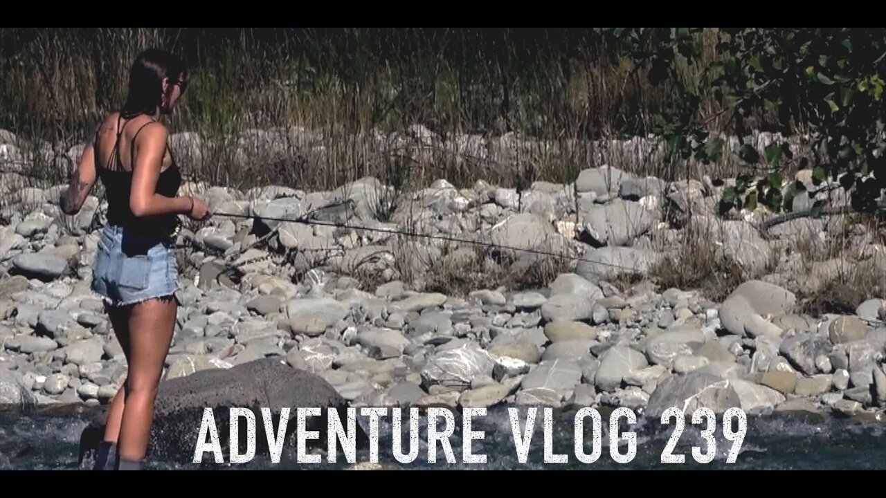 JOSH JAMES adventure VLOG 239 A Deer A Trout and a Camping Mission New Zealand Red Deer Roar 2023