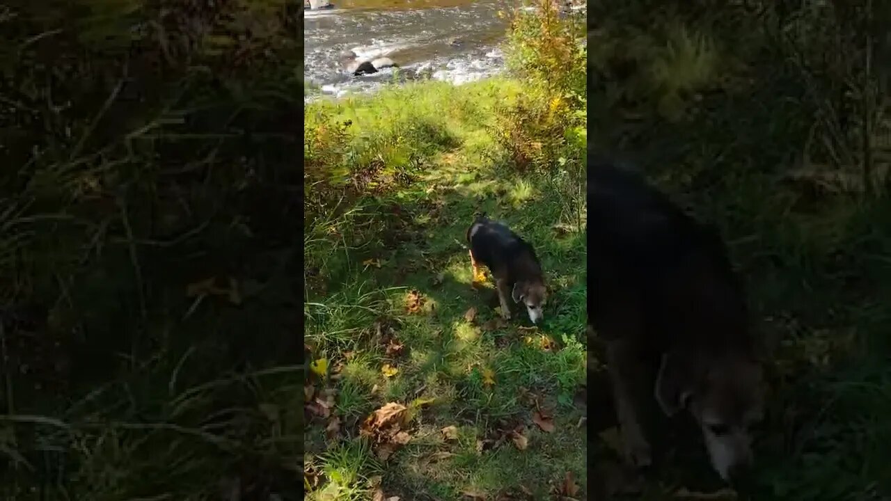 Just Chilling... ❤️