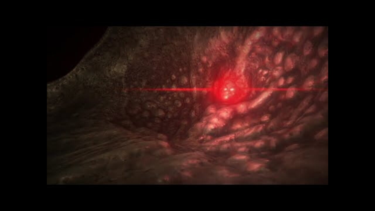 Gameplay 3 Random Horror Games