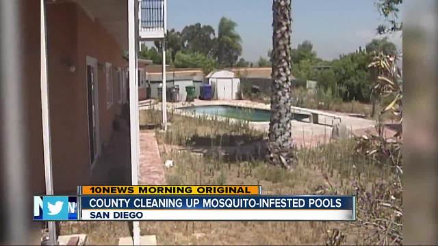 County cleaning up mosquito-infested pools