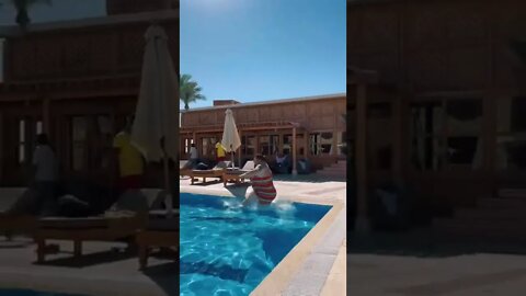 tiktok Dimitriy Krasilov satisfying #shorts