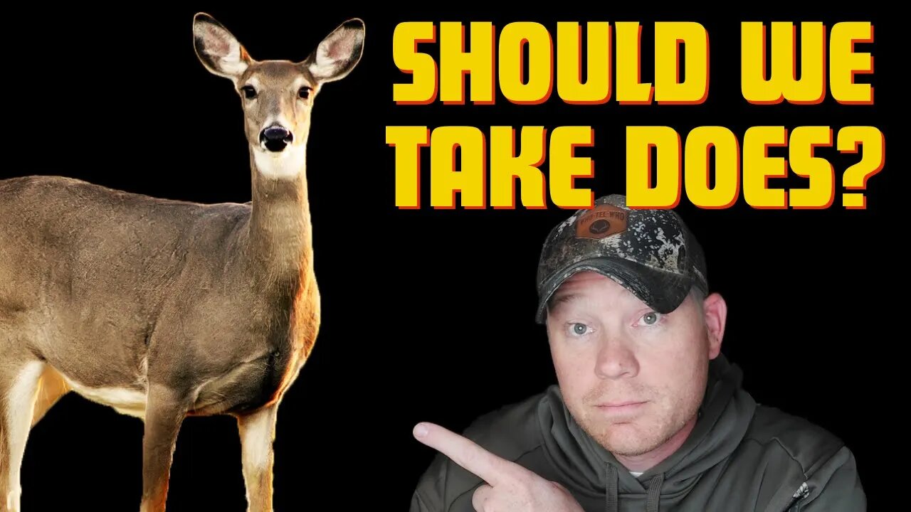 Should You Take Does? If So, When??? Doe Harvest Objectives