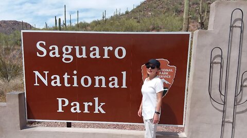 Saguaro National Park, Arizona